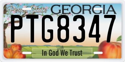GA license plate PTG8347