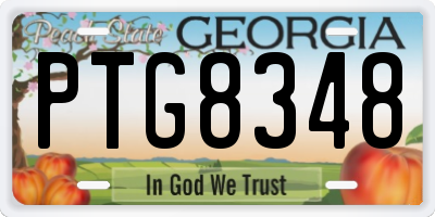 GA license plate PTG8348