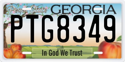 GA license plate PTG8349