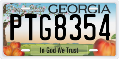 GA license plate PTG8354