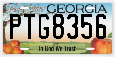 GA license plate PTG8356