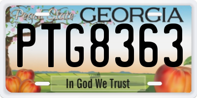 GA license plate PTG8363