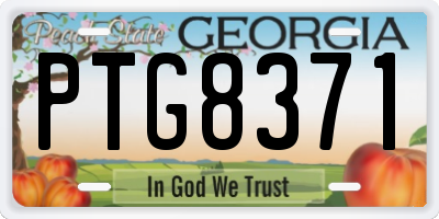 GA license plate PTG8371