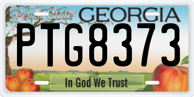 GA license plate PTG8373