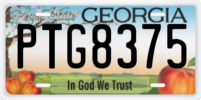 GA license plate PTG8375