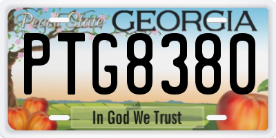 GA license plate PTG8380