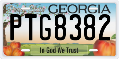 GA license plate PTG8382