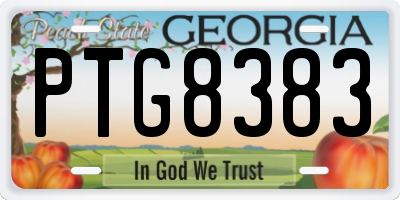 GA license plate PTG8383