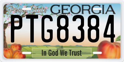 GA license plate PTG8384