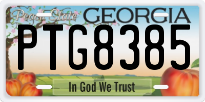 GA license plate PTG8385