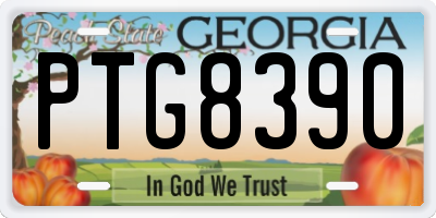 GA license plate PTG8390