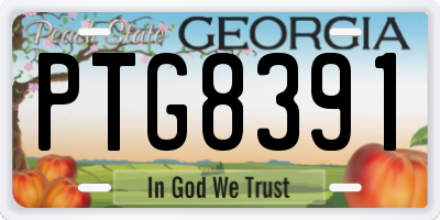 GA license plate PTG8391