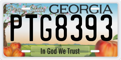 GA license plate PTG8393