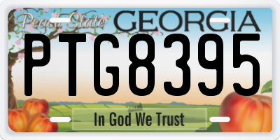 GA license plate PTG8395