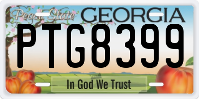 GA license plate PTG8399