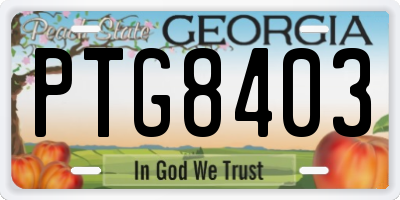 GA license plate PTG8403