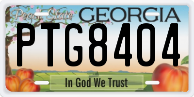 GA license plate PTG8404