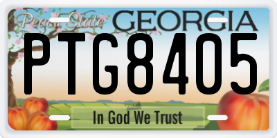 GA license plate PTG8405