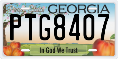 GA license plate PTG8407