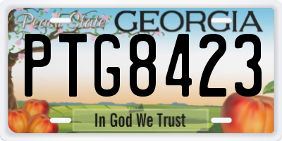 GA license plate PTG8423