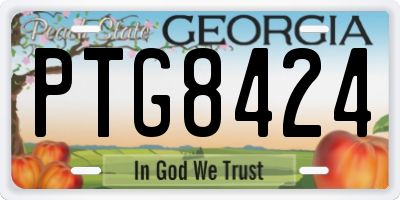 GA license plate PTG8424