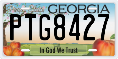 GA license plate PTG8427