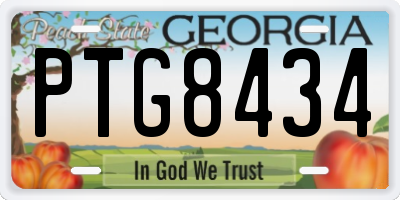 GA license plate PTG8434