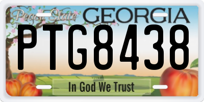 GA license plate PTG8438