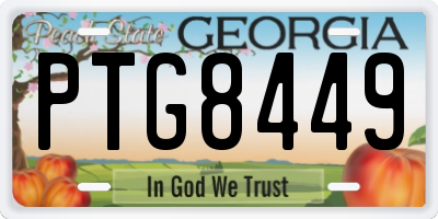 GA license plate PTG8449