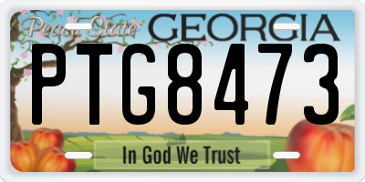 GA license plate PTG8473