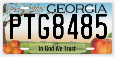 GA license plate PTG8485