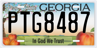 GA license plate PTG8487