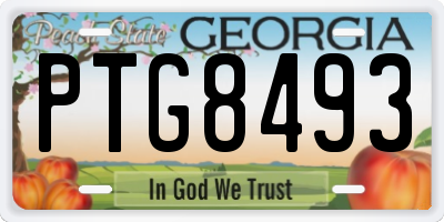 GA license plate PTG8493