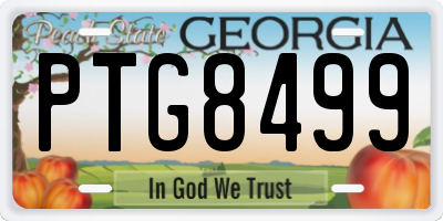 GA license plate PTG8499