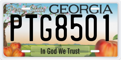 GA license plate PTG8501