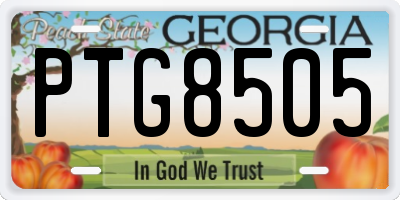 GA license plate PTG8505