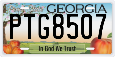 GA license plate PTG8507