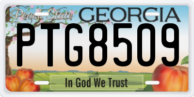 GA license plate PTG8509
