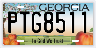 GA license plate PTG8511