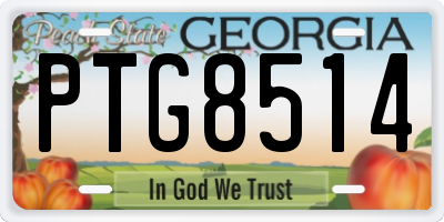 GA license plate PTG8514