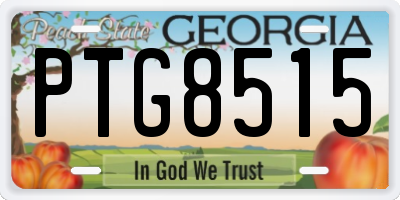 GA license plate PTG8515