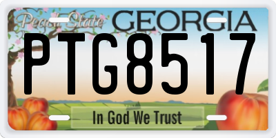 GA license plate PTG8517