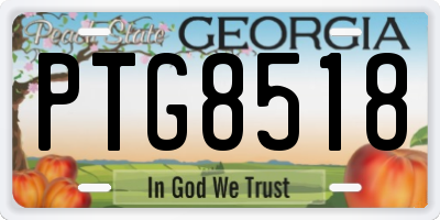 GA license plate PTG8518