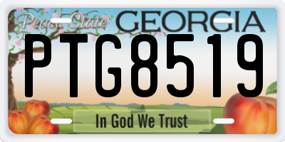 GA license plate PTG8519