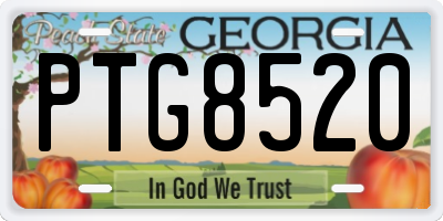 GA license plate PTG8520