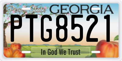 GA license plate PTG8521