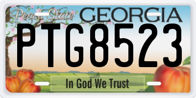 GA license plate PTG8523