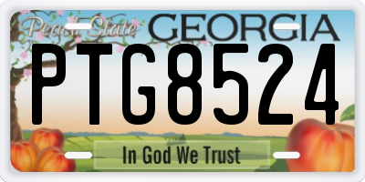 GA license plate PTG8524