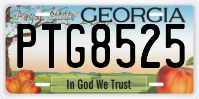 GA license plate PTG8525
