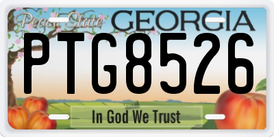 GA license plate PTG8526